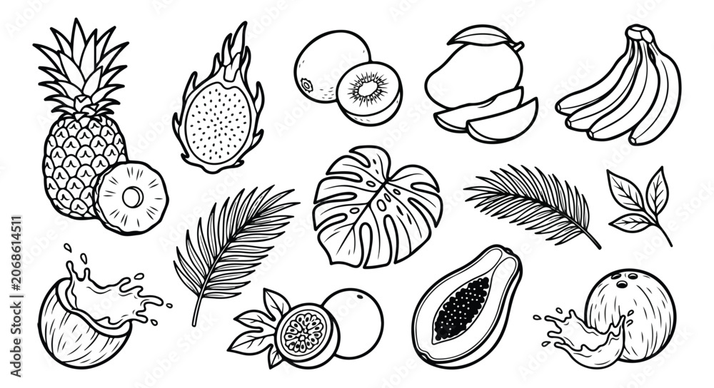 Fototapeta premium Tropical fruit line art collection, hand drawn exotic fruits and palm leaves vector set, black and white botanical illustrations for coloring or menu design
