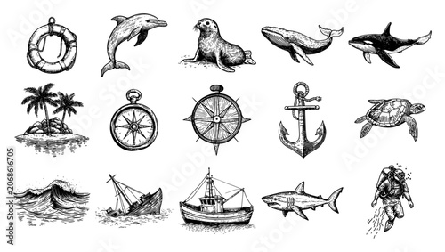 Photography Sea animals and maritime nautical elements collection in vintage engraving style
