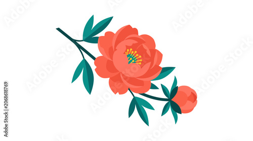 Coral Peony Flower Branch with Leaves, Isolated on White Background
