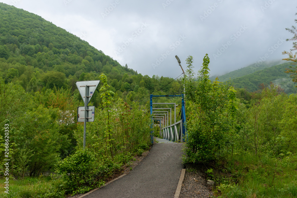 Fototapeta premium Steel footbridge and walking path cross a green valley surrounded by forested mountains. Foggy hills and dense vegetation create a scenic hiking environment.