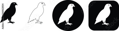 Foto Collection of four hawk bird in black and white, including silhouette, outline,