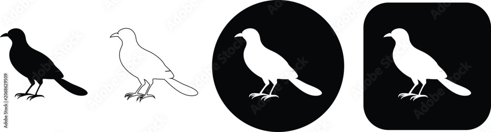 Fototapeta premium Four depicting a bird with a long tail in side profile, shown in solid black, outline, circle, and square formats
