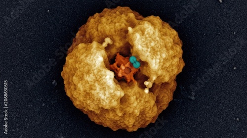 Nitrogenase 12 nm macromolecular complex, featuring iron molybdenum cofactor, fixing atmospheric nitrogen molecule N2 inside active catalytic pocket of bacterial enzyme structure.