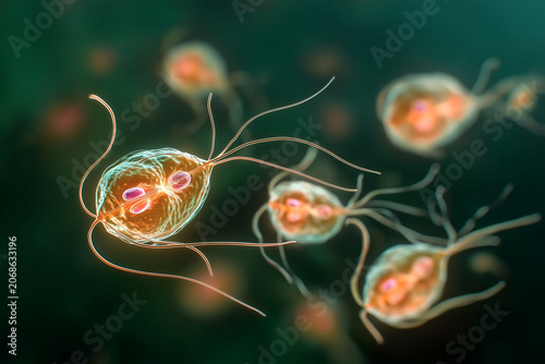 Trichomonas vaginalis microorganisms floating in a biological environment. High-resolution biomedical render representing trichomoniasis, parasitology, and infectious disease