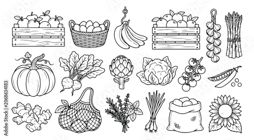 Foto Fresh produce vector outline collection, hand-drawn farm market vegetables and f