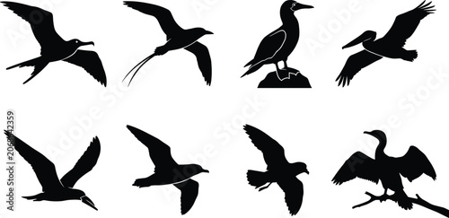 Konstfotografi Seabird Silhouette Collection Featuring Diverse Coastal Species and Flight Postu