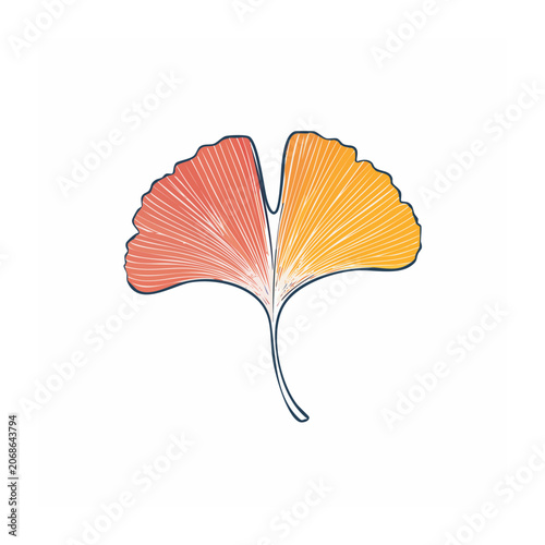Ginkgo leaf illustration with orange and red colors