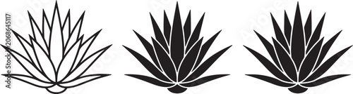 Three agave plant in different styles including outline and solid black silhouette on a white background, for botanical also, transparent background