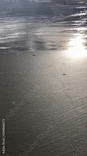 sunset on the beach