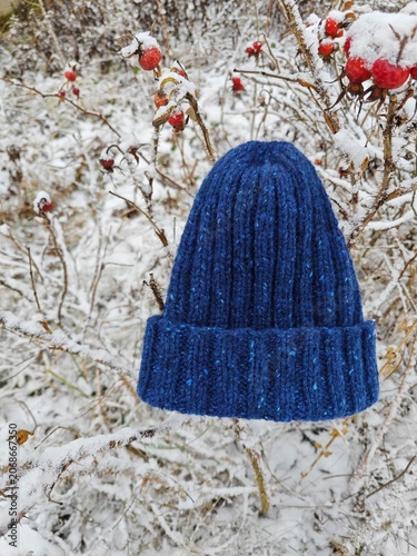 Warm dark blue knitted beanie on a snow covered bush. Winter hat with red rosehips in nature
