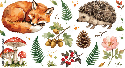 Watercolor Style Woodland Forest Animal Vector Element Set with Sleeping Fox, Hedgehog, Mushrooms, Acorns, Pinecone, Ferns, and Autumn Botanical Clipart