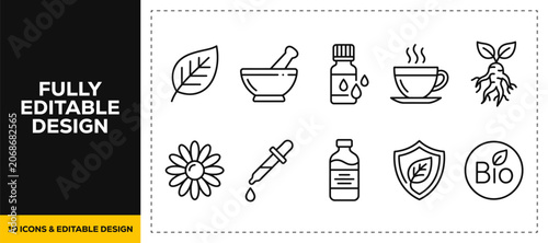 Fotografía flat vector illustration line art icon bundle set design illustrating herbal med
