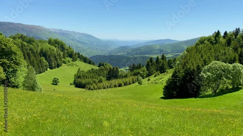 Idyllic green meadow pasture summer mountain valley Bosnia and Herzegovina