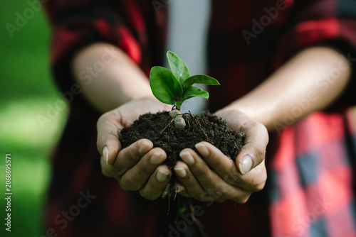 Φωτογραφία Hands gently holding a young green seedling with fertile soil, symbolizing environmental conservation, sustainable development, growth, hope, and a commitment to a greener future