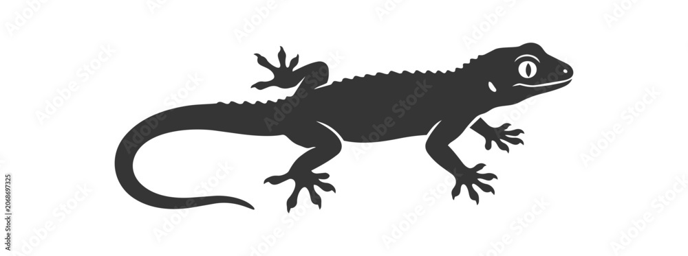 Fototapeta premium Silhouette of a gecko lizard with detailed claws and textured skin.
