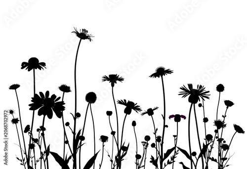 Elegant silhouettes of various wildflowers against a clean background, ideal for design projects, silhouette set, element