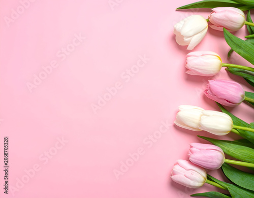 Soft Pink and White Tulips Border on a Pastel Pink Background.