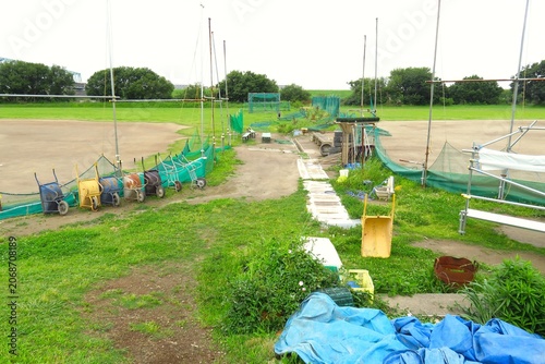 初夏の江戸川河川敷の平日の誰もいない野球場風景
