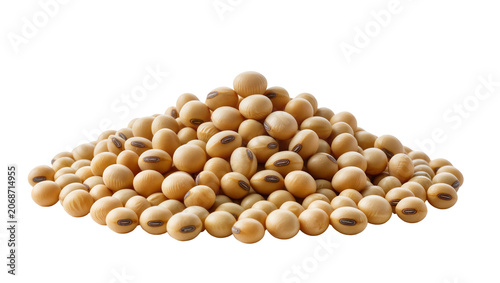 Fotografie Heap of dried soybeans with characteristic dark hilum