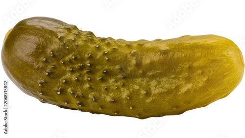 Obraz na plátně Whole dill pickle with bumpy skin and yellow-green color
