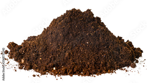 Canvastavla Pile of dark rich soil with visible organic matter
