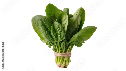 Fotografie Fresh green spinach leaves tied with twine