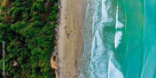 Aerial view of the coastline where the beach meets the forest, New Zealand's pebble beach