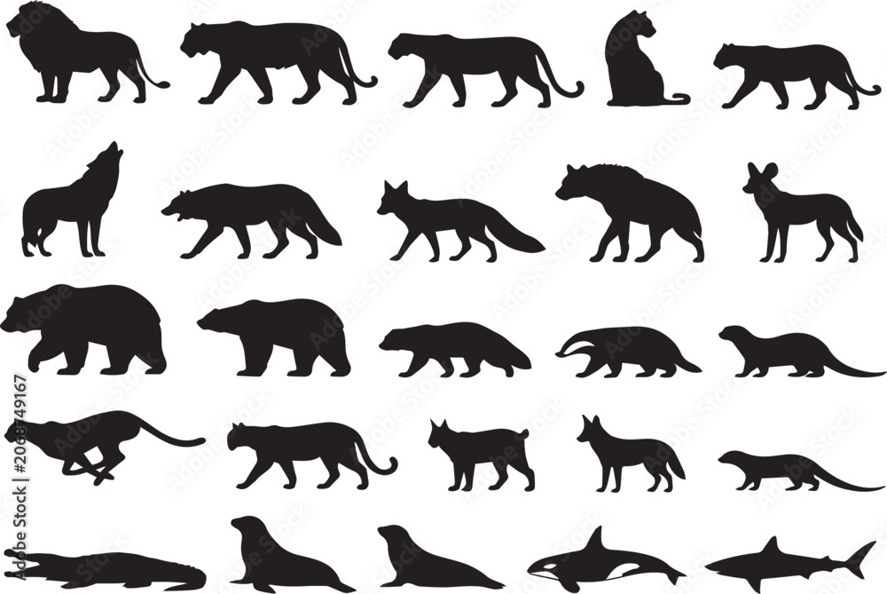 Fototapeta premium wild animals silhouettes