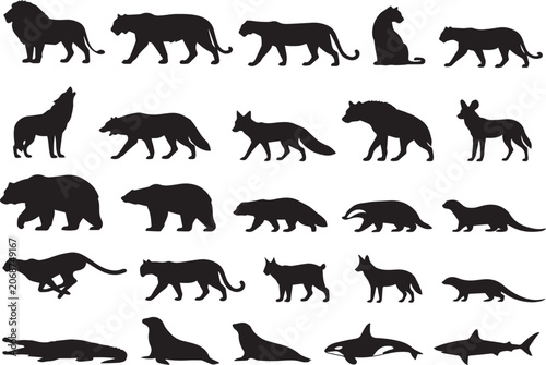 Photography wild animals silhouettes