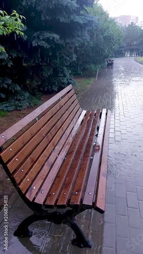 Wooden park bench on a wet paved path during a rain shower, surrounded by green trees. Solitude, rainy weather, urban nature, peaceful atmosphere