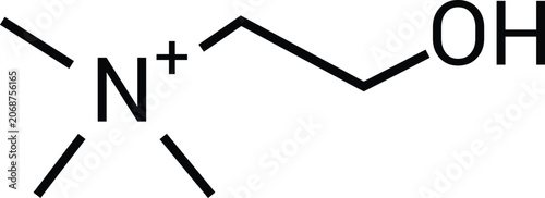 Foto Choline Chemical Structure Quaternary Ammonium Compound Molecule Diagram