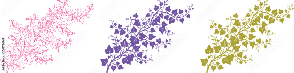 Fototapeta premium Elegant botanical ivy vine vector collection, three colorful floral branches in pink, purple, and olive green, decorative nature elements for design projects isolated on White Background