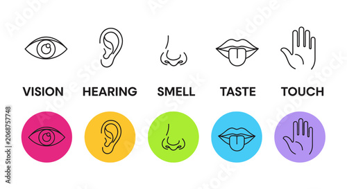 Human five senses icon set, vision hearing smell taste and touch line symbols, sensory perception vector collection for educational medical infographics