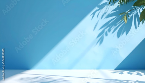 Minimalist Blue Studio with Natural Light and Leaf Shadows.