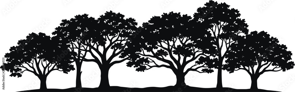 Fototapeta premium Forest Tree Silhouette Border with Dense Woodland Landscape and Nature Scene