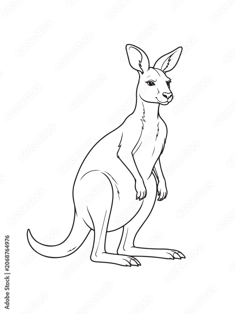 Obraz premium Black and white line art illustration of a cute kangaroo standing with kangaroo wildlife australia