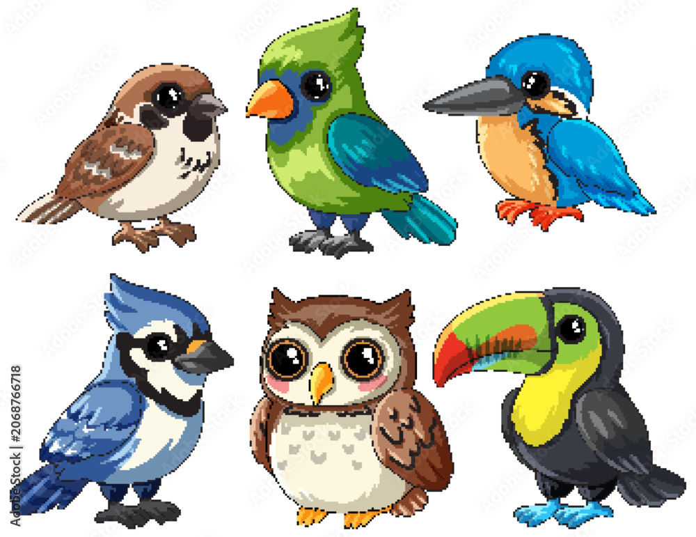 Obraz premium Collection of Six Cute Cartoon Birds in Flat Vector Style