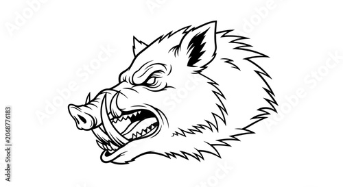 Photos Angry Boar Head Portrait Closeup Fierce.