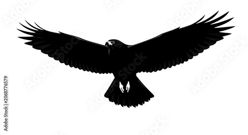 Bild auf Leinwand Silhouette of a soaring large bird.