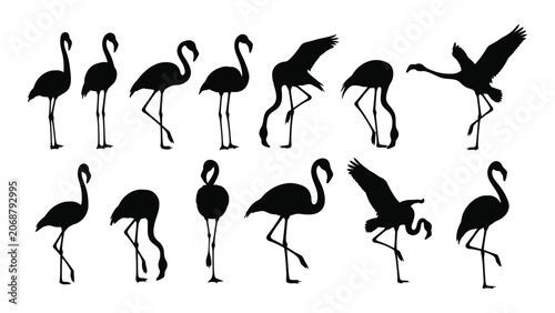 Tableau sur toile Black flamingo silhouettes in various poses