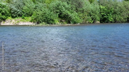 Fast flow of a mountain river after on a summer sunny day against the background of green trees on the riverbank