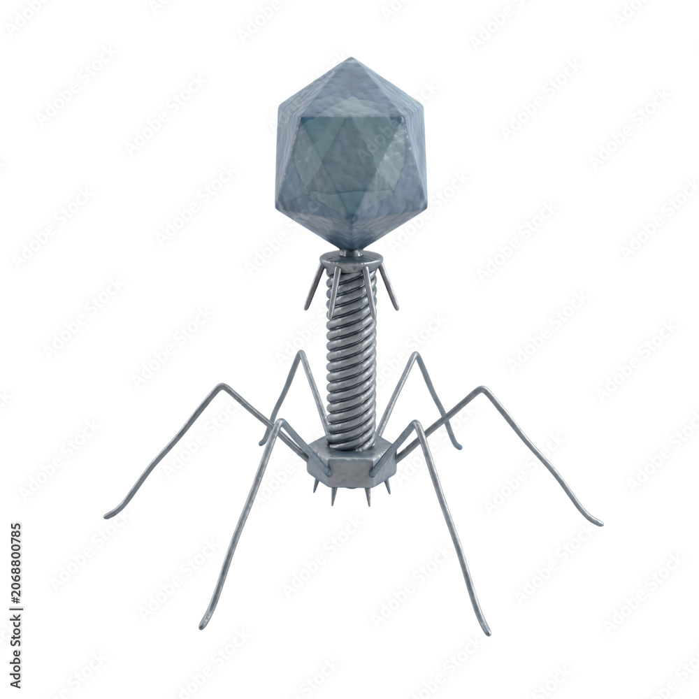Fototapeta premium Bacteriophage T2 Virus Isolated