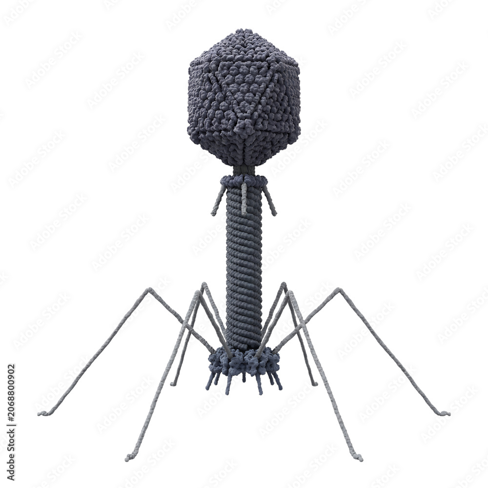 Fototapeta premium Bacteriophage T2 Virus Isolated on Transparent Background