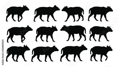 Fotografía Black silhouettes of wild boars walking in different positions