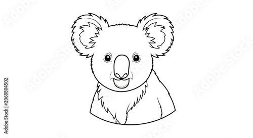 Cute Koala Bear Face Portrait.