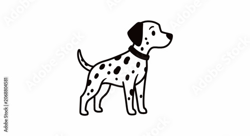 Dalmatian dog standing profile view.