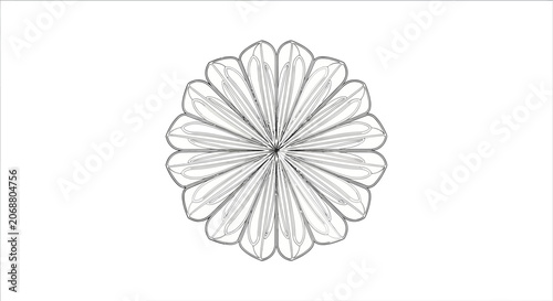 Detailed drawing of a flower.