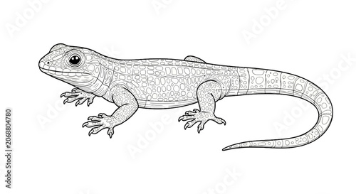 Detailed drawing of a lizard creature.