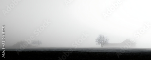 Minimalist black and white landscape of a tree and building shrouded in thick fog