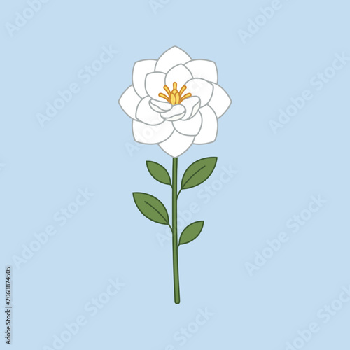 A single white flower blooms on a blue background